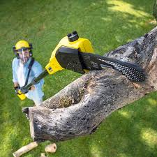 Best Sod Installation  in Twin Lakes, VA